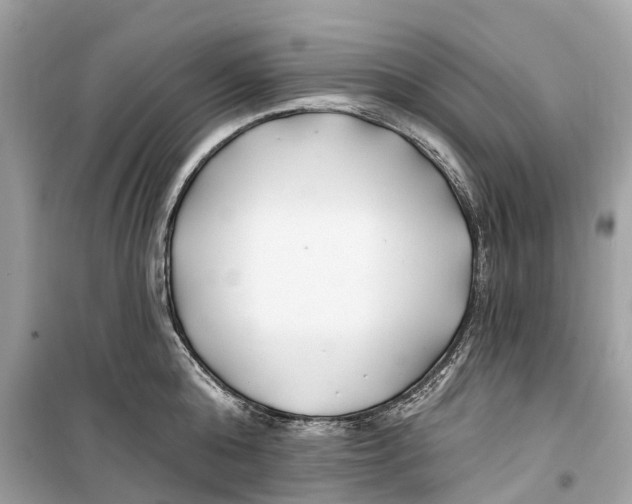 X0000099320808200805231423