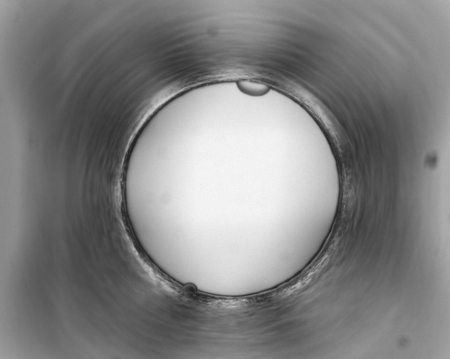 X0000099320810200805231423