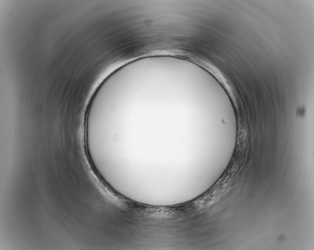 X0000099320811200805231423