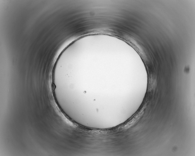 X0000099320812200805231423