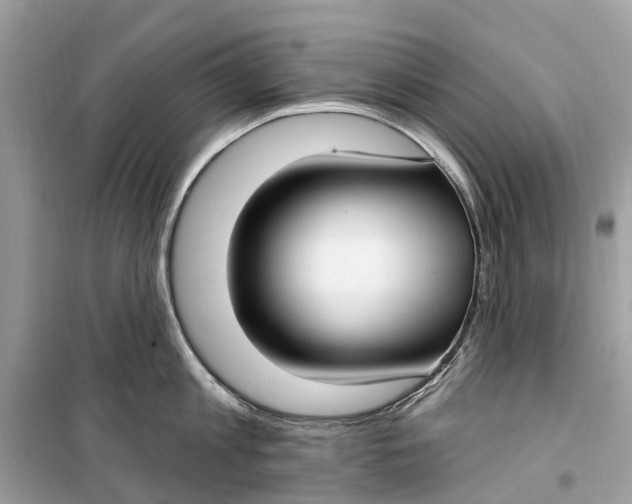 X0000099320813200805231423