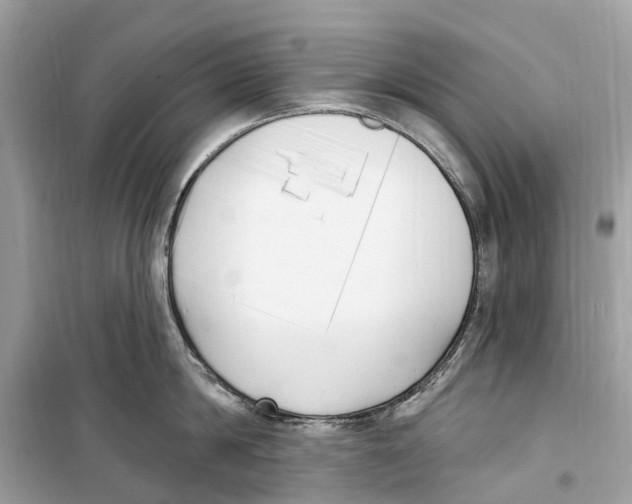 X0000099320814200805231423