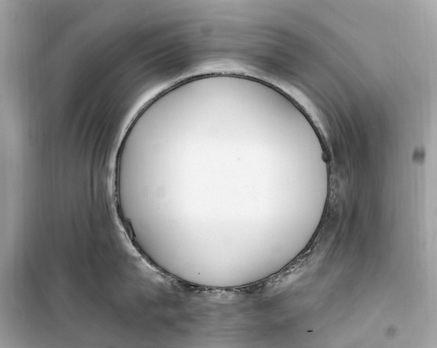 X0000099320815200805231423