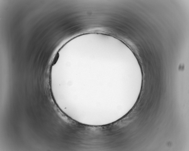 X0000099320816200805231423