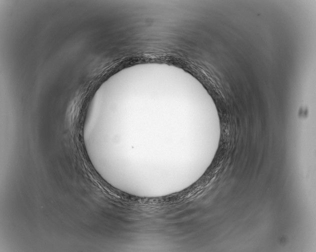 X0000099320817200805231423