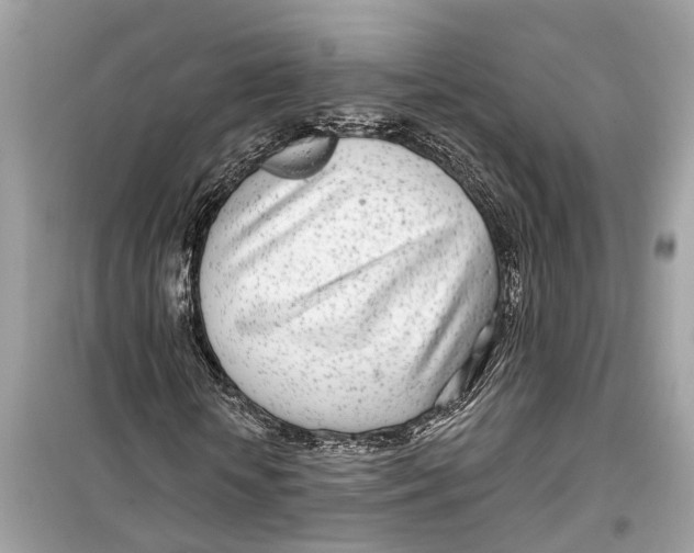 X0000099320818200805231423