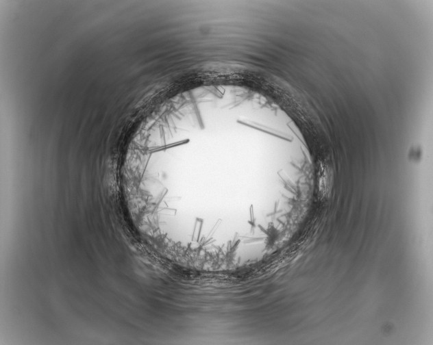 X0000099320819200805231423