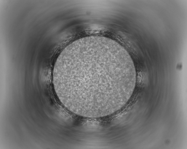 X0000099320820200805231423