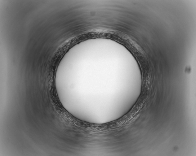 X0000099320821200805231423