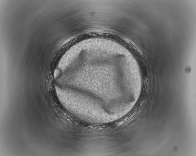 X0000099320822200805231423