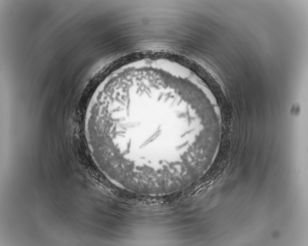 X0000099320823200805231423