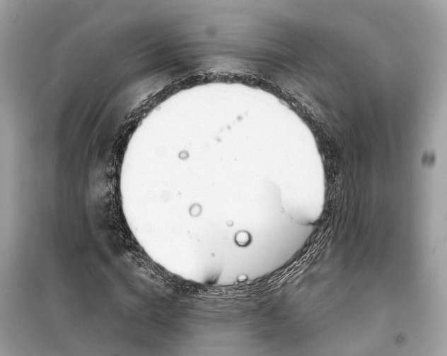 X0000099320824200805231423