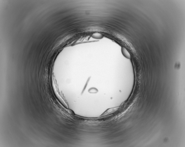 X0000099320825200805231423