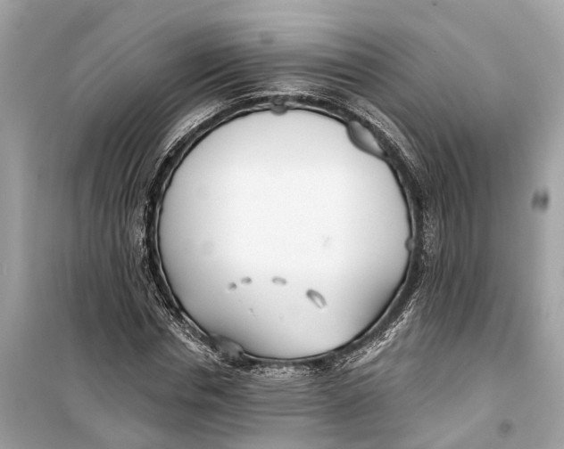 X0000099320826200805231423