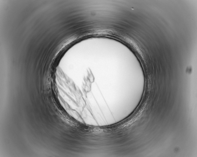 X0000099320827200805231423