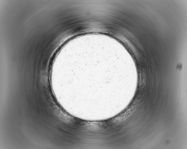 X0000099320828200805231423