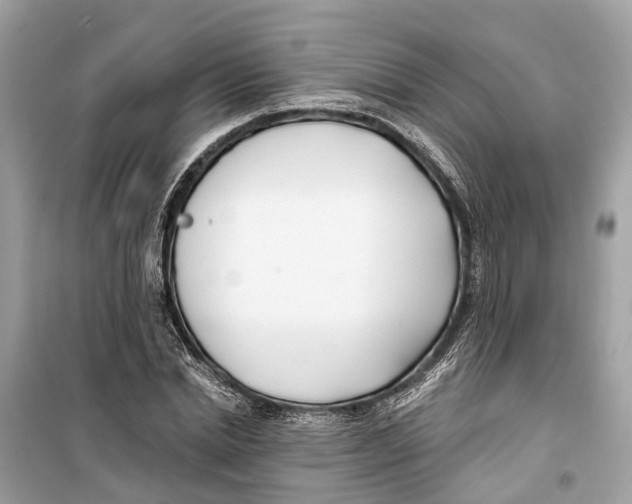 X0000099320830200805231423