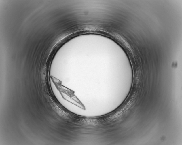 X0000099320831200805231423