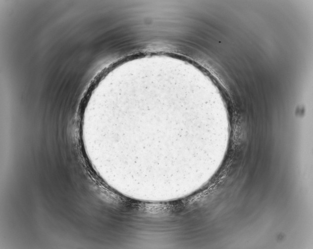 X0000099320832200805231423