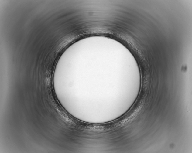 X0000099320833200805231423