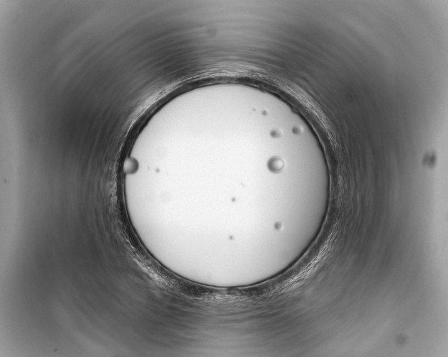 X0000099320834200805231423