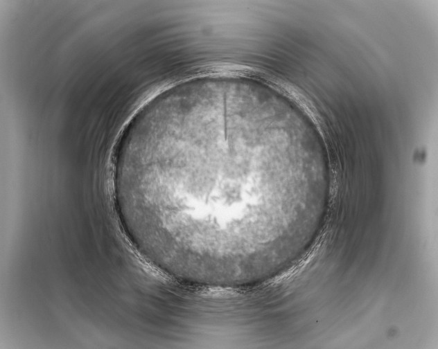 X0000099320835200805231423