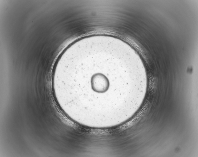 X0000099320836200805231423