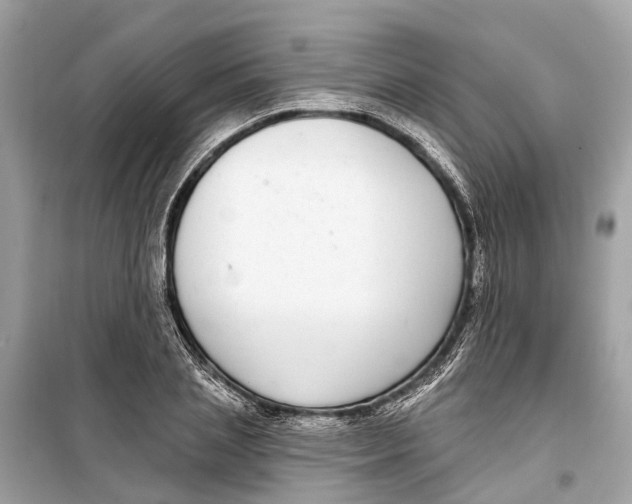 X0000099320837200805231423