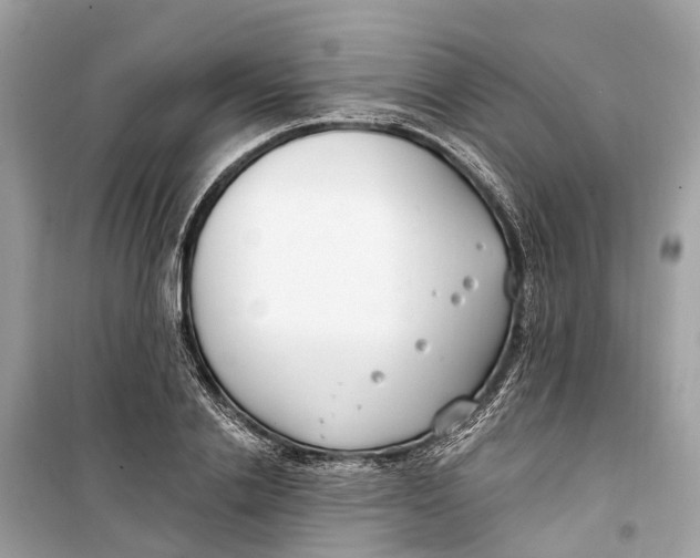 X0000099320838200805231423