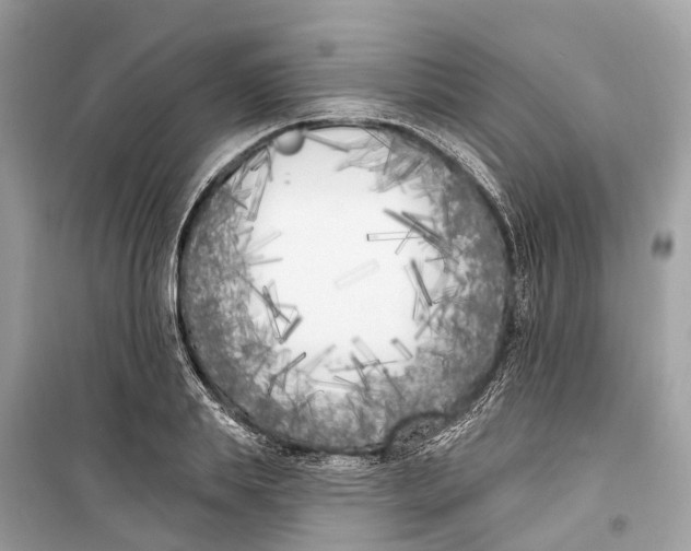 X0000099320839200805231423