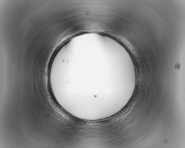 X0000099320840200805231423