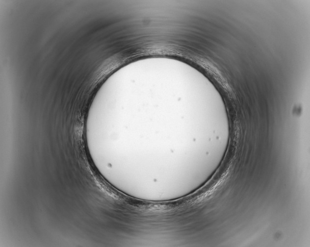 X0000099320841200805231423