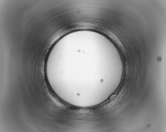 X0000099320842200805231423