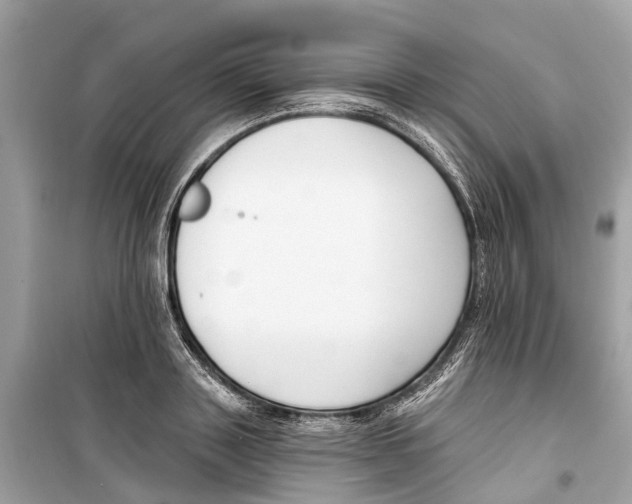 X0000099320843200805231423