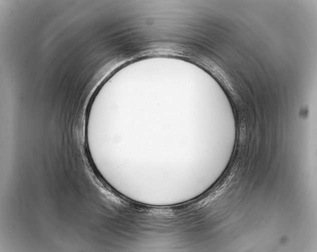 X0000099320844200805231423