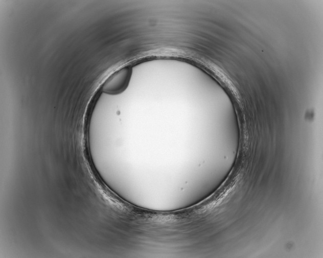 X0000099320845200805231423