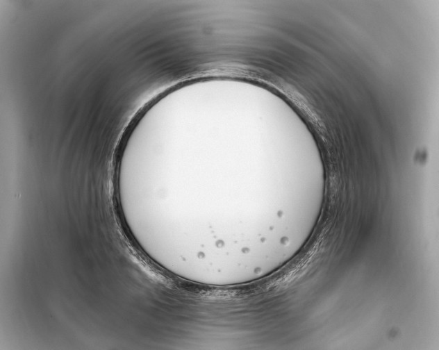 X0000099320846200805231423