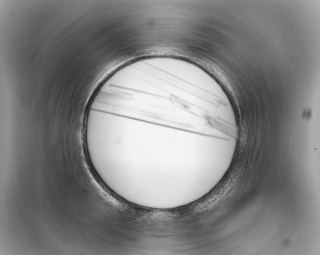 X0000099320847200805231423