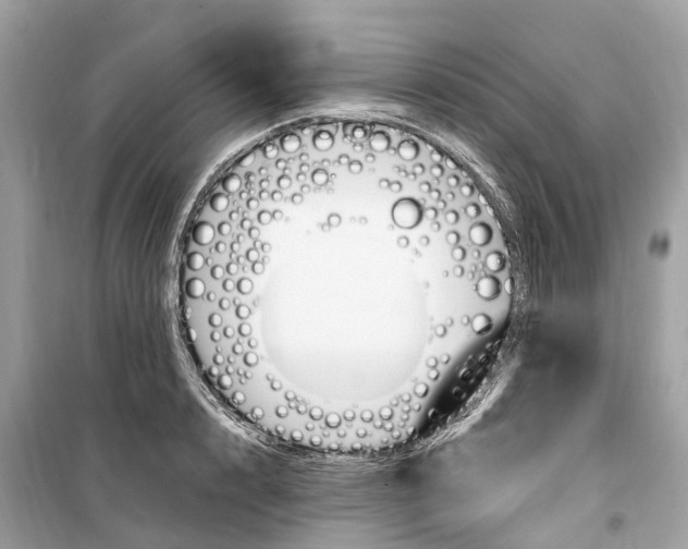 X0000099320848200805231423