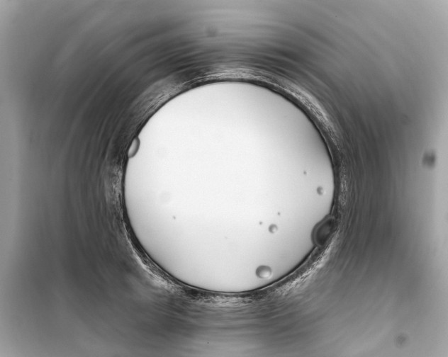 X0000099320849200805231423