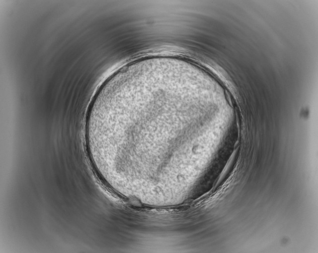 X0000099320850200805231423