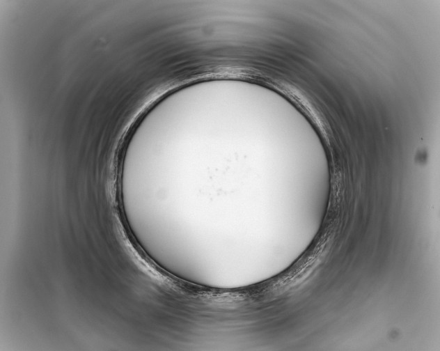 X0000099320851200805231423