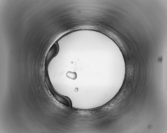 X0000099320852200805231423