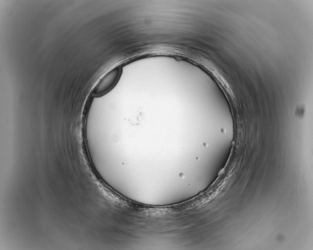 X0000099320853200805231423