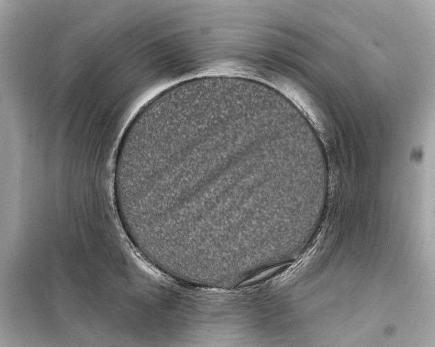 X0000099320854200805231423