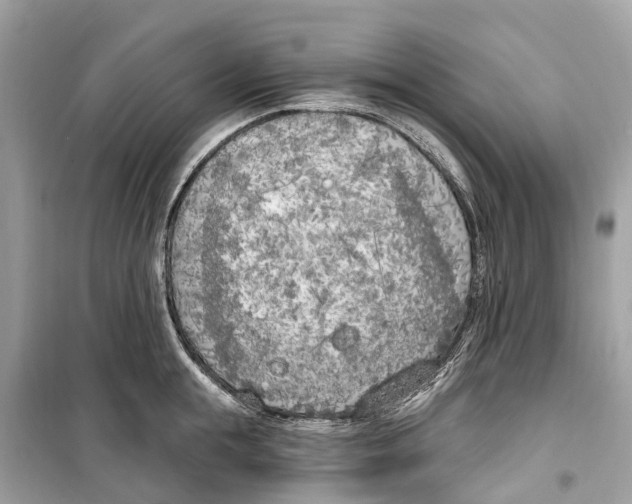 X0000099320855200805231423