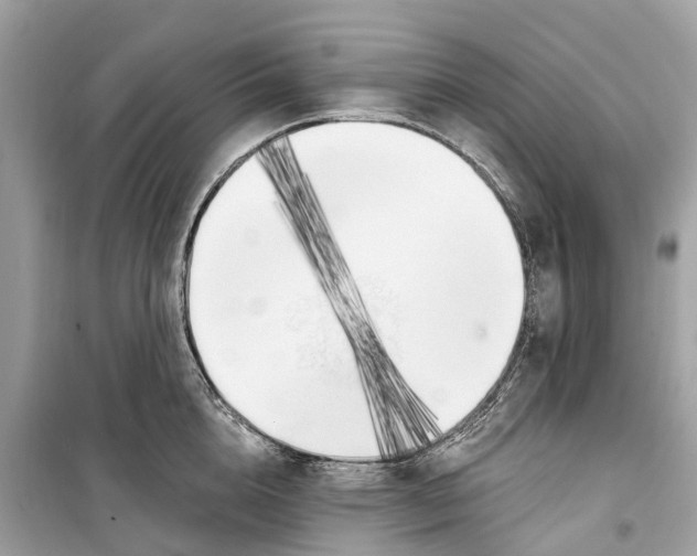 X0000099320856200805231423