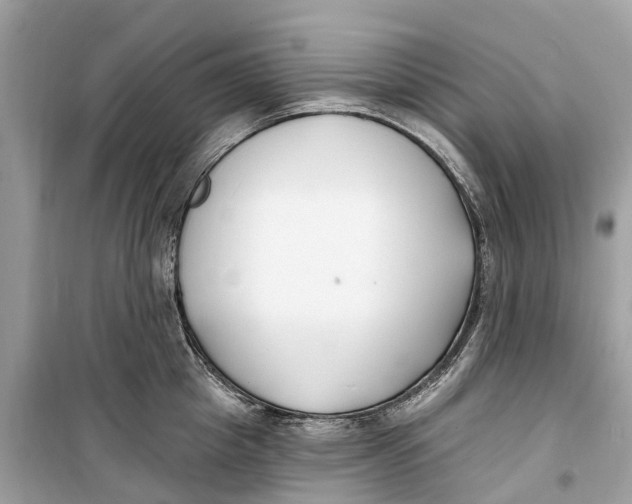 X0000099320857200805231423