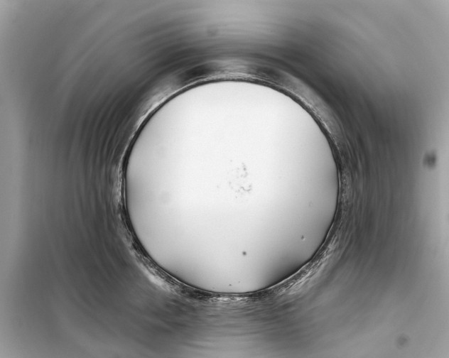 X0000099320858200805231423