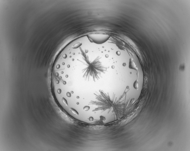 X0000099320859200805231423